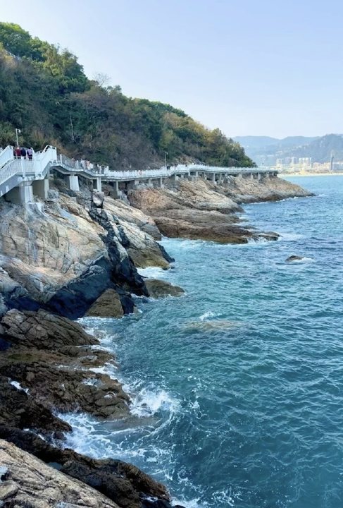 View From Walkway Near Seafood Street